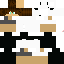 Texture for M PANDA