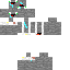 Texture for anshs 