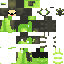 Texture for Zygarde Pug