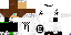 Texture for EletroRaphael