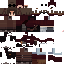 Texture for ng5skin done 2
