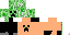 Texture for Minicreeper