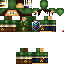 Texture for Link