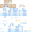 Texture for Snow Bird