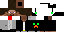 Texture for ds danik