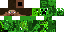 Texture for クリーパーマン