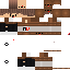 Texture for ds