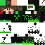 Texture for nerf2004
