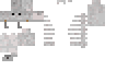 Texture for Skeleton Cat (Story Mode)