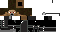 Texture for MSS.