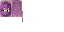 Texture for Shulker Cape