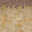 Texture for LoafRedux Grass Path Side