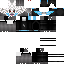 Texture for this skin is a meme