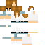 Texture for steve6