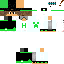 Texture for Homeleon