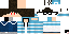 Texture for SwiftGaurdian