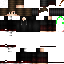 Texture for Steve