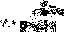 Texture for Blah