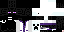 Texture for endar