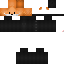 Texture for base de zorro