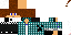 Texture for zikvi