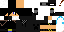 Texture for Stealth KNIGHTFALL101101