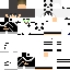 Texture for Maxi2