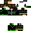 Texture for creeper3