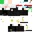 Texture for leon3