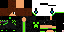 Texture for fs