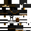Texture for Ninja