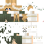 Texture for Next Skin