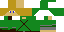 Texture for Link