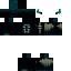 Texture for warden