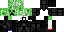 Texture for Creeper Ninja