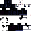 Texture for ThePEPERmit_skin(rework1)