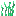 Texture for Grassy