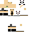 Texture for Panda