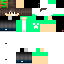 Texture for Icarooos1