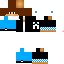 Texture for silas