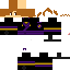 Texture for Wizard Ninja (Secret Ninja Force)