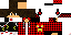 Texture for ds