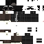 Texture for setlins v5