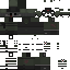 Texture for Hans_Graf