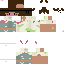 Texture for FairyTrainer