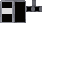 Texture for Swat shield