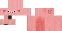 Texture for pig