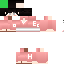 Texture for ECHO2