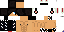 Texture for MinecraftPace