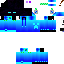 Texture for Ender